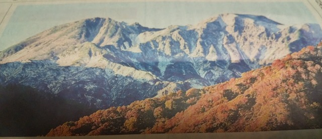 DSC_8002~2.JPG